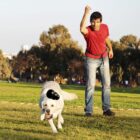 Man en Labrador met Kong Extreme