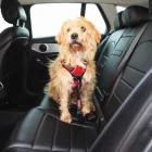 KONG94653-kong-seat-belt-tether