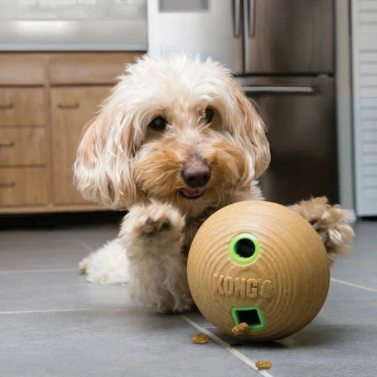 KONGPTB21E3-kong-bamboo-feeder-ball-md