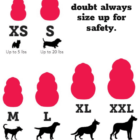 Kong Size Chart