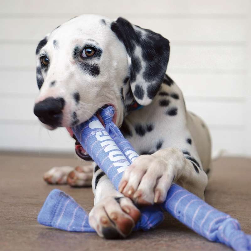 KONG Puppy Signature Crunch Rope Single