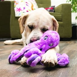 Hond met KONG Softseas Octopus