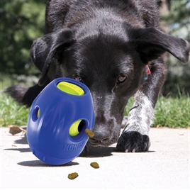 Hond met KONG Tikr