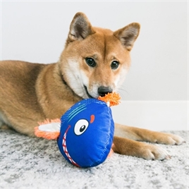 Hond met Kong Reefz Haai