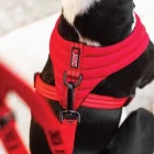 KONGCMHLGBK2-kong-comfort-harness-l-black
