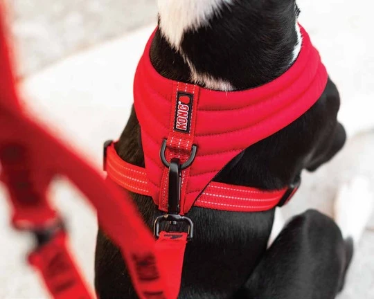 KONGCMHLGBK2-kong-comfort-harness-l-black