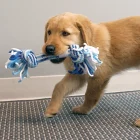 KONGRRP31E3-kong-rope-tug-puppy-assorted-md