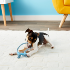 Kong-Puppy-Goodie-Bone-Met-Touw-Kinderziektes-Rubber-tanden-Reinigen-Hond-Speelgoed-Voor-X-Kleine-Puppies (1)