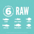ORIJEN Small Breed Marine Fish